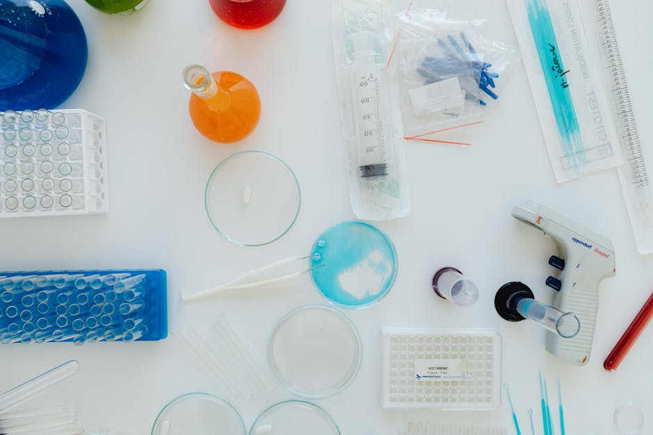 Top view of various lab tools and containers on a white surface. Perfect for science-related content.